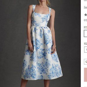 Sachin & Babi Blaine Chinoiserie Midi Dress